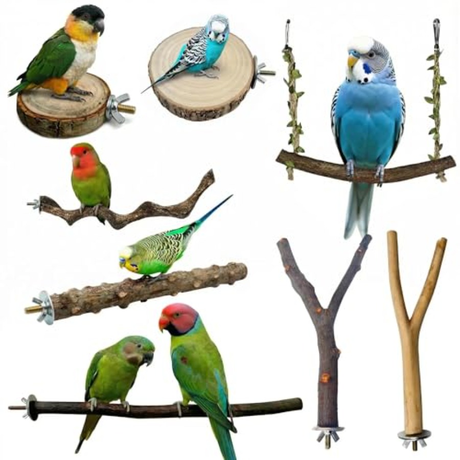 Health & Wellness Therapy Center - 8PCS natural wood bird perches for