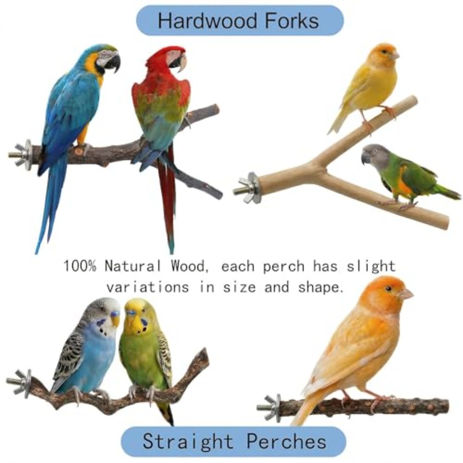 8PCS natural wood bird perches - Health & Wellness Therapy Center review and price